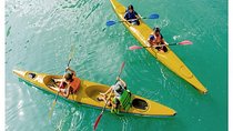 Luxury Ha Long Bay 1 Day Trip From Hanoi - By Limousine & Small Group