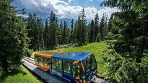 Zakopane & Thermal Springs: Private Tour