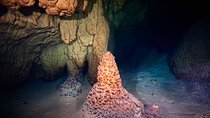 Cenotes diving Tak Be Ha and Tak Be Lum 