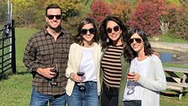NOVA Private Custom Wine Tours & Tasting from DMV