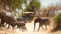 2 Days in Hwange National Park from Victoria Falls 