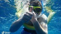 Snorkeling at Catalina Islands
