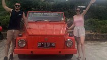 VW Safari Day Tour