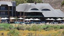 Aquila Game Drive and Safari
