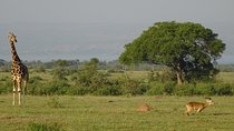 3 Days Murchison falls park Uganda 