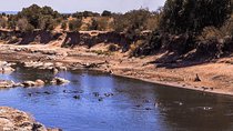 9-DAY Cruise Kenya Safari with DALA (customisable) 