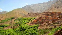 Combined Atlas & Sahara Desert Trip