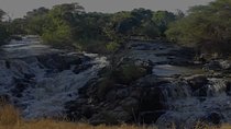 Awash National Park wild life 2 days tour 
