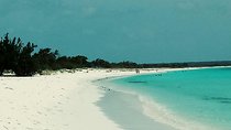 Tour to Saona Island