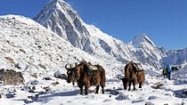 Everest View Trek- 8Days