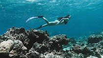 All Inclusive Snorkeling at Blue Lagoon with Lunch 