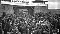 Private Tour From Prague To Mauthausen and Cesky Krumlov