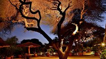3 Days Amboseli Safari