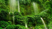 Benang Stokel and Kelambu Waterfall Tour - Lombok Private Tour