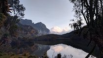 5 Days Rwenzori Hiking Uganda 