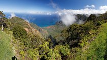 Kauai Island - Private Tour : Waimea Canyon and Southside