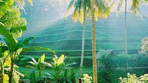 Ubud Tours Package