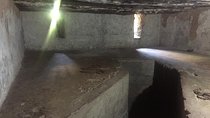Stone Town, Spice Farm and Jozani Forest Private Tour