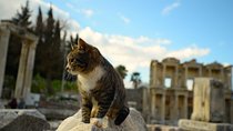 Private - Main Ephesus Tour - SKIP THE LINE TICKETS