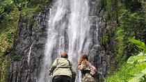 Kilimanjaro Waterfalls Hike & Moshi Hot Springs Day Trip Tour