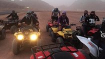 safari in luxor