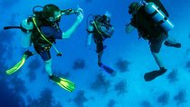 Kusadasi Scuba Diving