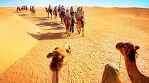 7 Hour: Jeep Safari, Camel Ride & Bedouin Village Sahara Tour from Hurghada