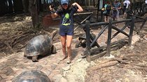 Prison Island and Stone Town Private Tour