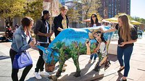 Epic Washington DC Bar Crawl: By Let’s Roam