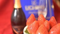 Strawberry Picking and Snow experience at Mt Fuji ski resort for VIP