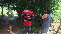 Spice Farm and Jozani Forest Private Tour