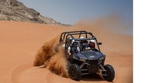 Private 4x4 Mleiha Desert Safari with Adventure Buggy Ride