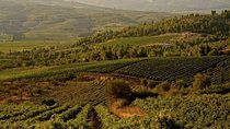 Nemea Private Wine Tour For Two Dedicated Wine Lovers (From Athens) 
