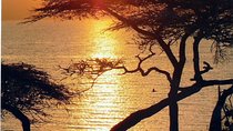 6 days 5 nights Addis Abeba sightseeing & Lalibela Rock-Hewn Churches