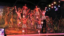 Nairobi Nightlife and Safari Park Hotel Dinner Experience