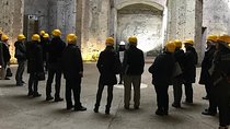 Domus Aurea skip the line ticket guided tour 