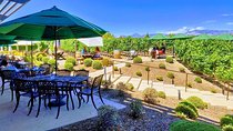 Santa Barbara Wine Tasting Day Tour from Los Angeles