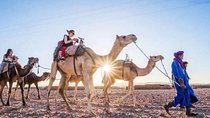 9 Day Marrakech Desert,Fes, Casablanca, & Chefchaouen Best Itinerary Ideas