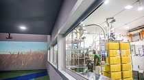 Authentic Pasta Experience: Factory Tour & Lunch 