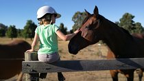 Private Farm Tour Experience