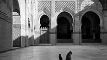 Guided Excursion to Marrakech with Group from Agadir