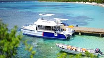 Catalina Island & Snorkeling Tour