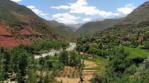 Ourika Valley (Atlas Mountain) - Day Trip From Marrakech