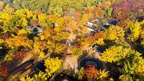 VIP Private Nami Island & Petite France & Garden of morning calm 