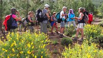 High Atlas Day Trips from Marrakech