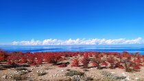 Marvellous 3 days around Issyk-Kul lake 