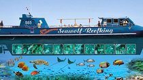 Day trip to Sea wolf submarine & snorkeling trip