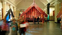 The best of Auckland city walking tour 