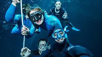 Try Freediving