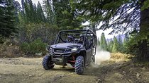 Honda Pioneer 1000-5 Deluxe (Five seat street legal Side by Side)